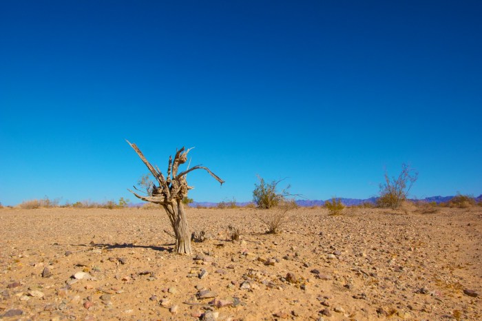 Effects Of Climate Change Free Stock Photo - Public Domain Pictures