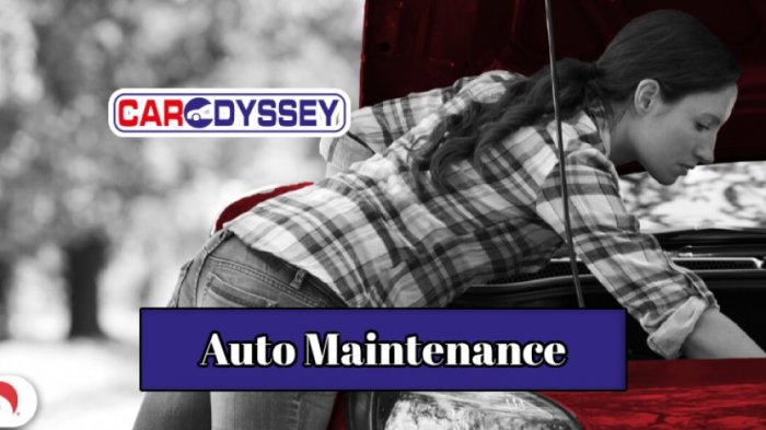 Top 5 Tips for Affordable Auto Care | CarOdyssey